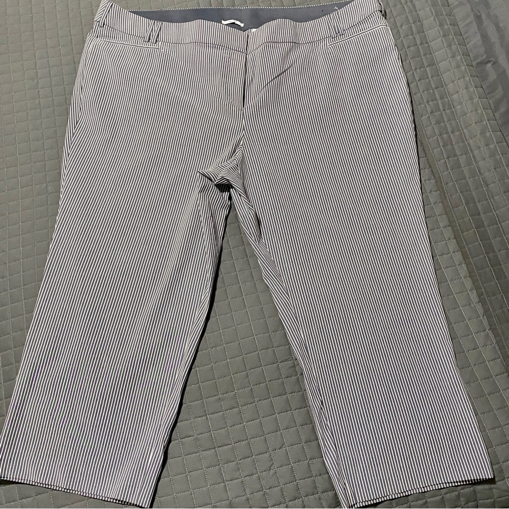 Lane Bryant Striped Crop Pants 22 NWOT